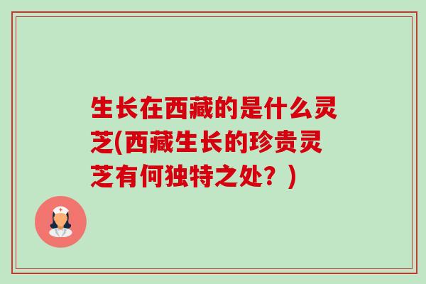 生长在西藏的是什么灵芝(西藏生长的珍贵灵芝有何独特之处?)-第1张图片-卓越灵芝孢子粉 生长在西藏的是什么灵芝(西藏生长的珍贵灵芝有何独特之处?)-第1张图片-卓越灵芝孢子粉