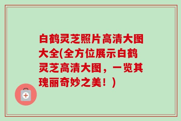 白鹤灵芝照片高清大图大全(全方位展示白鹤灵芝高清大图,一览其瑰丽奇妙之美!)-第1张图片-卓越灵芝孢子粉 白鹤灵芝照片高清大图大全(全方位展示白鹤灵芝高清大图,一览其瑰丽奇妙之美!)-第1张图片-卓越灵芝孢子粉