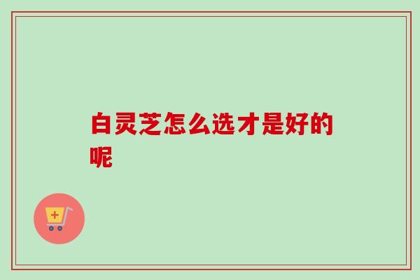 白灵芝怎么选才是好的呢-第1张图片-卓越灵芝孢子粉