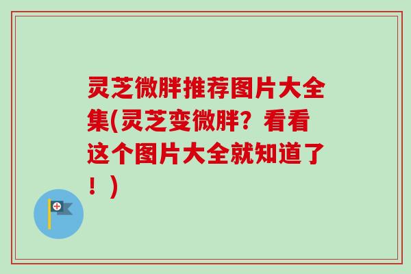 灵芝微胖推荐图片大全集(灵芝变微胖?看看这个图片大全就知道了!)-第1张图片-卓越灵芝孢子粉 灵芝微胖推荐图片大全集(灵芝变微胖?看看这个图片大全就知道了!)-第1张图片-卓越灵芝孢子粉
