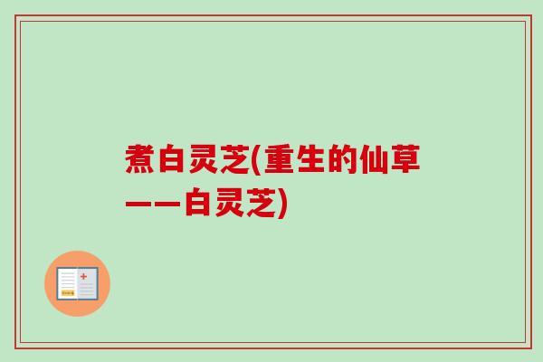 煮白灵芝(重生的仙草——白灵芝)-第1张图片-卓越灵芝孢子粉