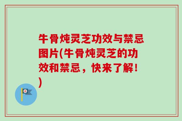 牛骨炖灵芝功效与禁忌图片(牛骨炖灵芝的功效和禁忌，快来了解！)-第1张图片-卓越灵芝孢子粉