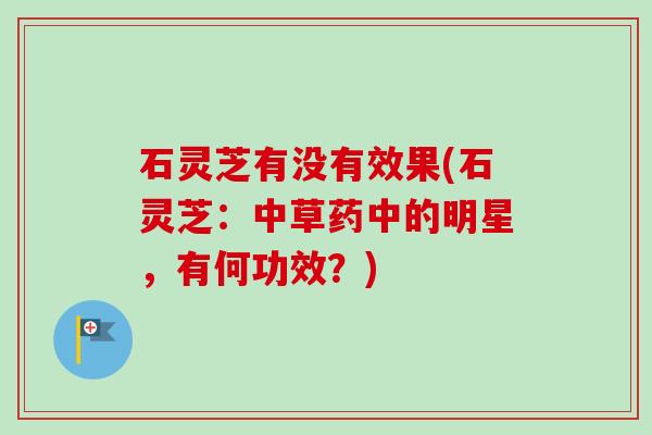 石灵芝有没有效果(石灵芝:中草药中的明星,有何功效?)-第1张图片-卓越灵芝孢子粉 石灵芝有没有效果(石灵芝:中草药中的明星,有何功效?)-第1张图片-卓越灵芝孢子粉