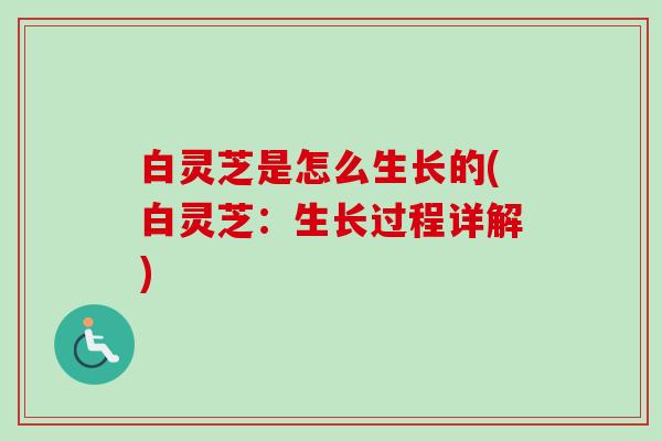 白灵芝是怎么生长的(白灵芝:生长过程详解)-第1张图片-卓越灵芝孢子粉 白灵芝是怎么生长的(白灵芝:生长过程详解)-第1张图片-卓越灵芝孢子粉