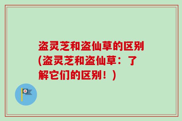 盗灵芝和盗仙草的区别(盗灵芝和盗仙草：了解它们的区别！)-第1张图片-卓越灵芝孢子粉