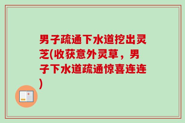 男子疏通下水道挖出灵芝(收获意外灵草,男子下水道疏通惊喜连连)-第1张图片-卓越灵芝孢子粉 男子疏通下水道挖出灵芝(收获意外灵草,男子下水道疏通惊喜连连)-第1张图片-卓越灵芝孢子粉