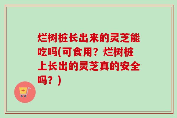 烂树桩长出来的灵芝能吃吗(可食用？烂树桩上长出的灵芝真的安全吗？)-第1张图片-卓越灵芝孢子粉