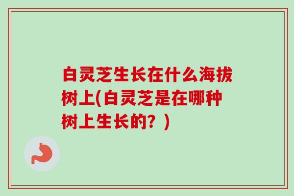 白灵芝生长在什么海拔树上(白灵芝是在哪种树上生长的?)-第1张图片-卓越灵芝孢子粉 白灵芝生长在什么海拔树上(白灵芝是在哪种树上生长的?)-第1张图片-卓越灵芝孢子粉