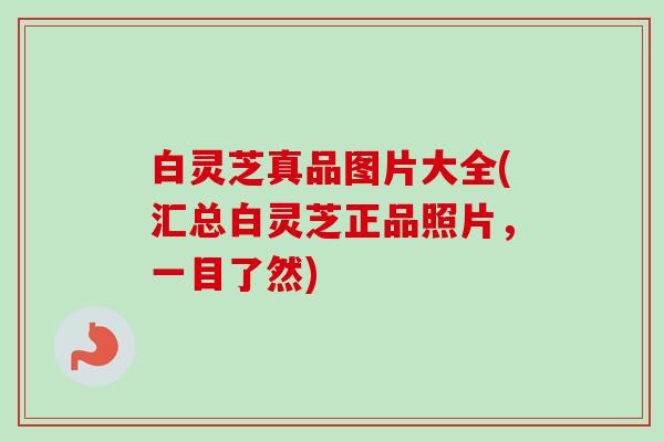 白灵芝真品图片大全(汇总白灵芝正品照片，一目了然)-第1张图片-卓越灵芝孢子粉