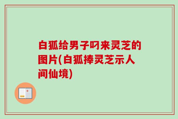 白狐给男子叼来灵芝的图片(白狐捧灵芝示人间仙境)-第1张图片-卓越灵芝孢子粉 白狐给男子叼来灵芝的图片(白狐捧灵芝示人间仙境)-第1张图片-卓越灵芝孢子粉