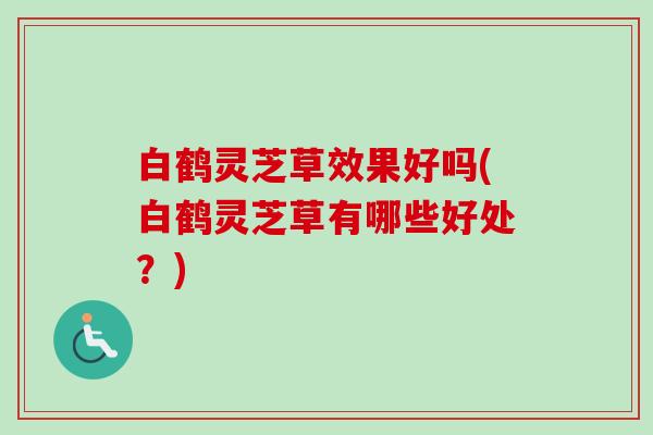 白鹤灵芝草效果好吗(白鹤灵芝草有哪些好处？)-第1张图片-卓越灵芝孢子粉