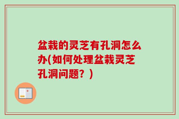 盆栽的灵芝有孔洞怎么办(如何处理盆栽灵芝孔洞问题?)-第1张图片-卓越灵芝孢子粉 盆栽的灵芝有孔洞怎么办(如何处理盆栽灵芝孔洞问题?)-第1张图片-卓越灵芝孢子粉