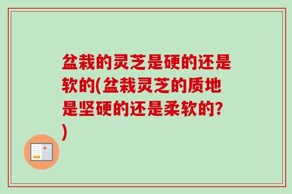 盆栽的灵芝是硬的还是软的(盆栽灵芝的质地是坚硬的还是柔软的?)-第1张图片-卓越灵芝孢子粉 盆栽的灵芝是硬的还是软的(盆栽灵芝的质地是坚硬的还是柔软的?)-第1张图片-卓越灵芝孢子粉