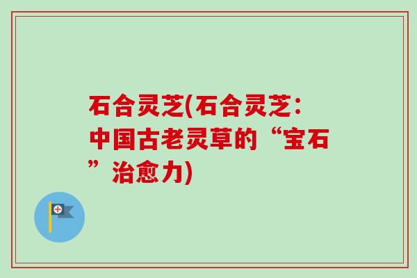石合灵芝(石合灵芝:中国古老灵草的“宝石”治愈力)-第1张图片-卓越灵芝孢子粉 石合灵芝(石合灵芝:中国古老灵草的“宝石”治愈力)-第1张图片-卓越灵芝孢子粉