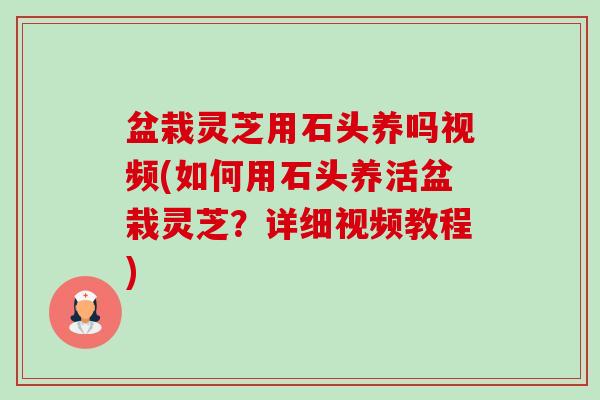 盆栽灵芝用石头养吗视频(如何用石头养活盆栽灵芝?详细视频教程)-第1张图片-卓越灵芝孢子粉 盆栽灵芝用石头养吗视频(如何用石头养活盆栽灵芝?详细视频教程)-第1张图片-卓越灵芝孢子粉