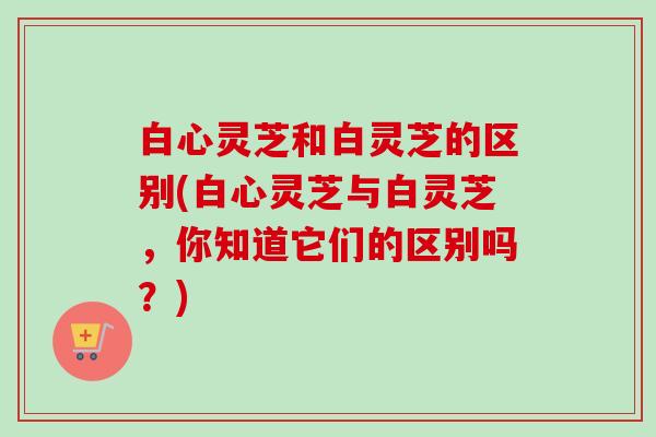 白心灵芝和白灵芝的区别(白心灵芝与白灵芝,你知道它们的区别吗?)-第1张图片-卓越灵芝孢子粉 白心灵芝和白灵芝的区别(白心灵芝与白灵芝,你知道它们的区别吗?)-第1张图片-卓越灵芝孢子粉