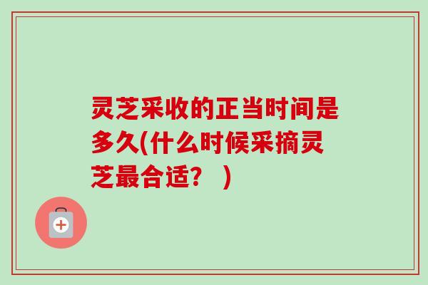 灵芝采收的正当时间是多久(什么时候采摘灵芝最合适? )-第1张图片-卓越灵芝孢子粉 灵芝采收的正当时间是多久(什么时候采摘灵芝最合适? )-第1张图片-卓越灵芝孢子粉