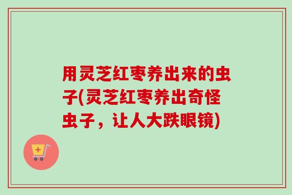 用灵芝红枣养出来的虫子(灵芝红枣养出奇怪虫子,让人大跌眼镜)-第1张图片-卓越灵芝孢子粉 用灵芝红枣养出来的虫子(灵芝红枣养出奇怪虫子,让人大跌眼镜)-第1张图片-卓越灵芝孢子粉