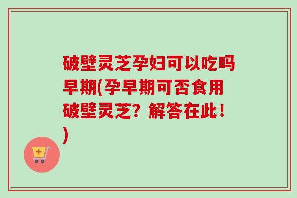 破壁灵芝孕妇可以吃吗早期(孕早期可否食用破壁灵芝?解答在此!)-第1张图片-卓越灵芝孢子粉 破壁灵芝孕妇可以吃吗早期(孕早期可否食用破壁灵芝?解答在此!)-第1张图片-卓越灵芝孢子粉