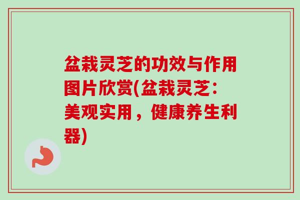 盆栽灵芝的功效与作用图片欣赏(盆栽灵芝:美观实用,健康养生利器)-第1张图片-卓越灵芝孢子粉 盆栽灵芝的功效与作用图片欣赏(盆栽灵芝:美观实用,健康养生利器)-第1张图片-卓越灵芝孢子粉