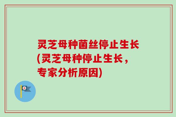 灵芝母种菌丝停止生长(灵芝母种停止生长,专家分析原因)-第1张图片-卓越灵芝孢子粉 灵芝母种菌丝停止生长(灵芝母种停止生长,专家分析原因)-第1张图片-卓越灵芝孢子粉