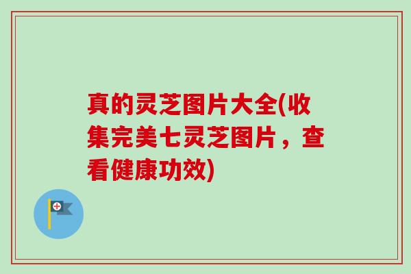 真的灵芝图片大全(收集完美七灵芝图片，查看健康功效)-第1张图片-卓越灵芝孢子粉