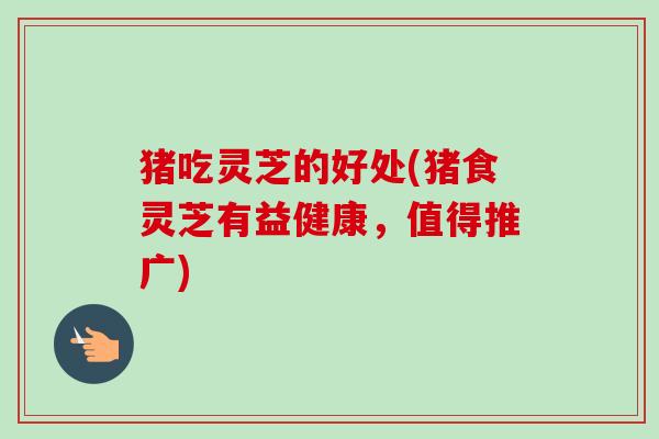 猪吃灵芝的好处(猪食灵芝有益健康,值得推广)-第1张图片-卓越灵芝孢子粉 猪吃灵芝的好处(猪食灵芝有益健康,值得推广)-第1张图片-卓越灵芝孢子粉