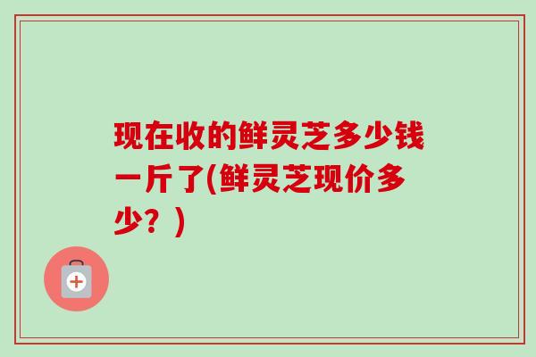 现在收的鲜灵芝多少钱一斤了(鲜灵芝现价多少?)-第1张图片-卓越灵芝孢子粉 现在收的鲜灵芝多少钱一斤了(鲜灵芝现价多少?)-第1张图片-卓越灵芝孢子粉