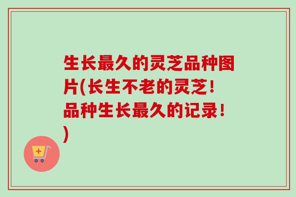 生长最久的灵芝品种图片(长生不老的灵芝！品种生长最久的记录！)-第1张图片-卓越灵芝孢子粉