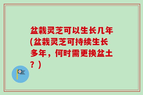 盆栽灵芝可以生长几年(盆栽灵芝可持续生长多年,何时需更换盆土?)-第1张图片-卓越灵芝孢子粉 盆栽灵芝可以生长几年(盆栽灵芝可持续生长多年,何时需更换盆土?)-第1张图片-卓越灵芝孢子粉