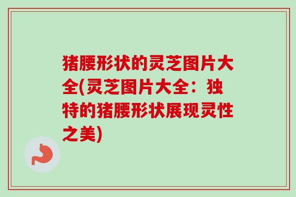 猪腰形状的灵芝图片大全(灵芝图片大全：独特的猪腰形状展现灵性之美)-第1张图片-卓越灵芝孢子粉