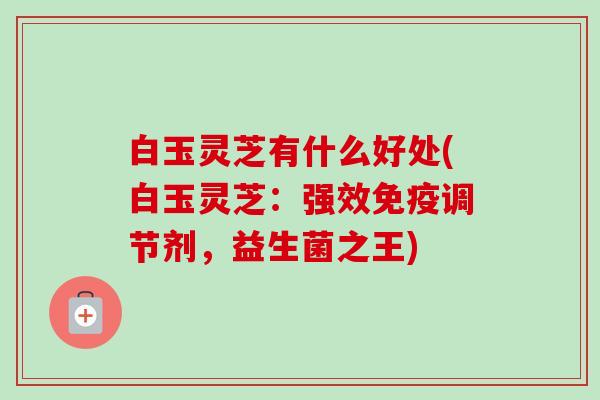 白玉灵芝有什么好处(白玉灵芝：强效免疫调节剂，益生菌之王)-第1张图片-卓越灵芝孢子粉