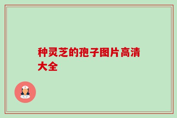 种灵芝的孢子图片高清大全-第1张图片-卓越灵芝孢子粉 种灵芝的孢子图片高清大全-第1张图片-卓越灵芝孢子粉
