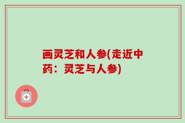 画灵芝和人参(走近中药：灵芝与人参)-第1张图片-卓越灵芝孢子粉