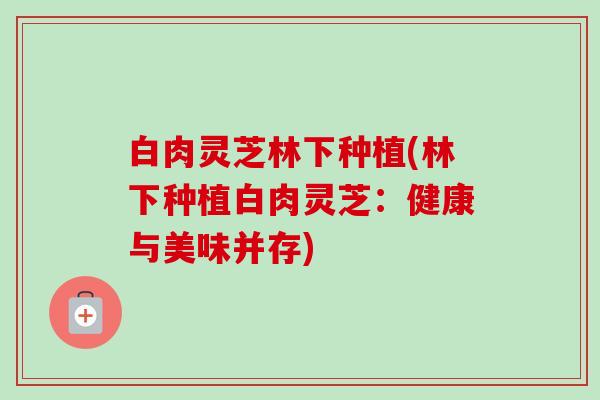 白肉灵芝林下种植(林下种植白肉灵芝：健康与美味并存)-第1张图片-卓越灵芝孢子粉