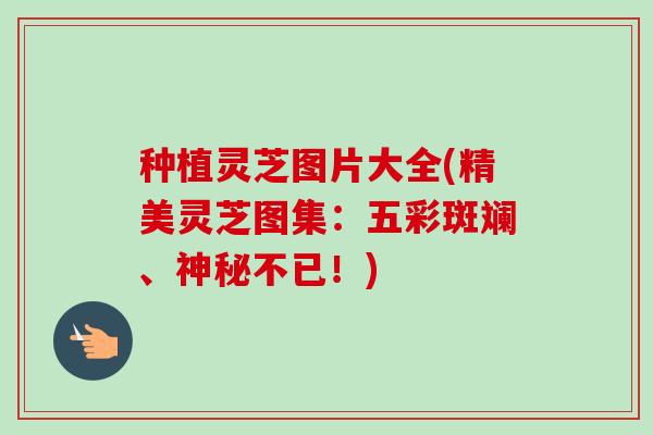 种植灵芝图片大全(精美灵芝图集：五彩斑斓、神秘不已！)-第1张图片-卓越灵芝孢子粉