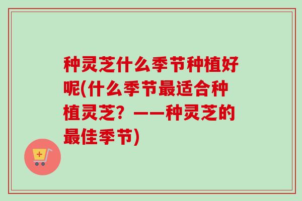 种灵芝什么季节种植好呢(什么季节最适合种植灵芝？——种灵芝的最佳季节)-第1张图片-卓越灵芝孢子粉