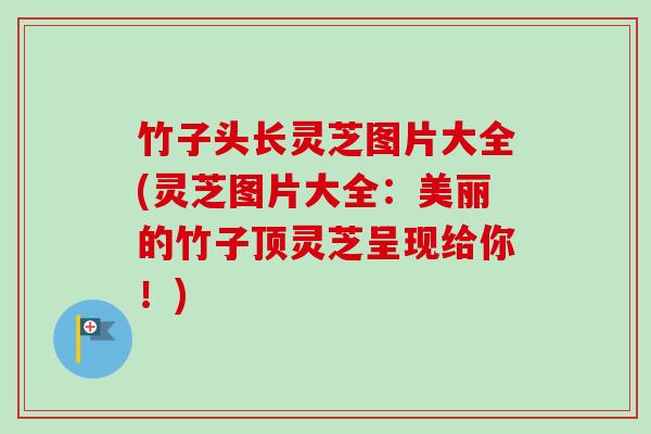 竹子头长灵芝图片大全(灵芝图片大全：美丽的竹子顶灵芝呈现给你！)-第1张图片-卓越灵芝孢子粉
