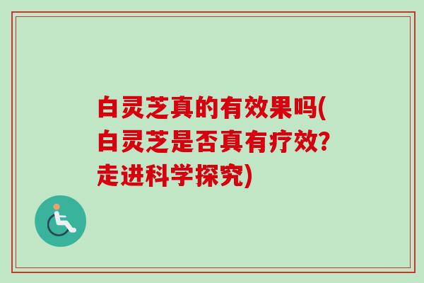 白灵芝真的有效果吗(白灵芝是否真有疗效?走进科学探究)-第1张图片-卓越灵芝孢子粉 白灵芝真的有效果吗(白灵芝是否真有疗效?走进科学探究)-第1张图片-卓越灵芝孢子粉