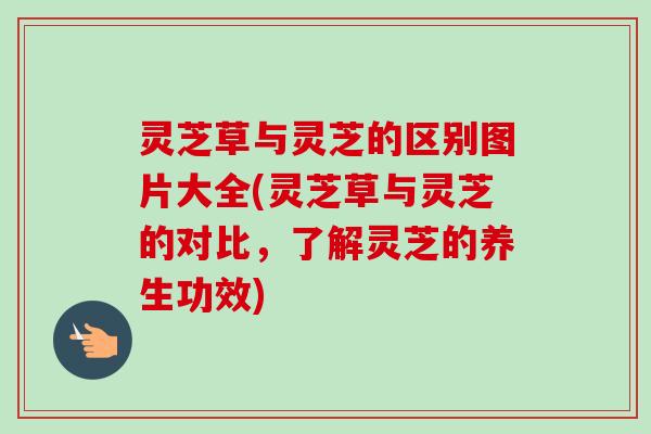 灵芝草与灵芝的区别图片大全(灵芝草与灵芝的对比,了解灵芝的养生功效)-第1张图片-卓越灵芝孢子粉 灵芝草与灵芝的区别图片大全(灵芝草与灵芝的对比,了解灵芝的养生功效)-第1张图片-卓越灵芝孢子粉