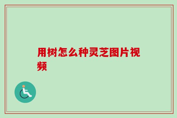 用树怎么种灵芝图片视频-第1张图片-卓越灵芝孢子粉 用树怎么种灵芝图片视频-第1张图片-卓越灵芝孢子粉