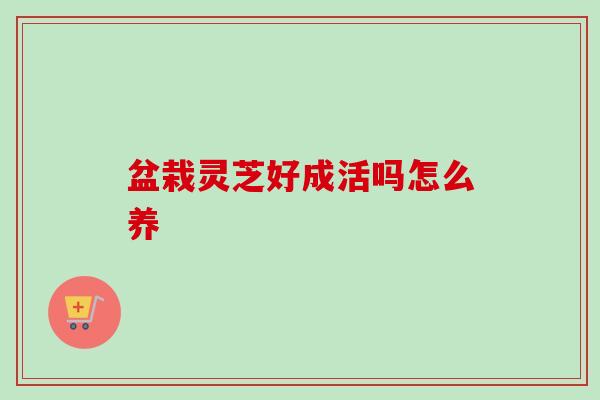 盆栽灵芝好成活吗怎么养-第1张图片-卓越灵芝孢子粉