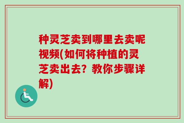 种灵芝卖到哪里去卖呢视频(如何将种植的灵芝卖出去？教你步骤详解)-第1张图片-卓越灵芝孢子粉