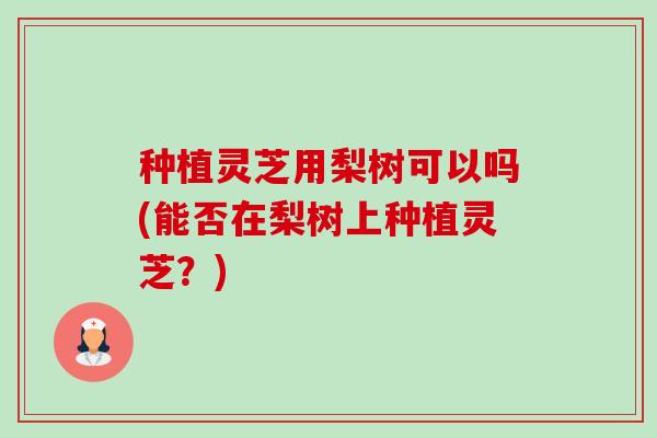 种植灵芝用梨树可以吗(能否在梨树上种植灵芝？)-第1张图片-卓越灵芝孢子粉