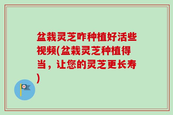 盆栽灵芝咋种植好活些视频(盆栽灵芝种植得当,让您的灵芝更长寿)-第1张图片-卓越灵芝孢子粉 盆栽灵芝咋种植好活些视频(盆栽灵芝种植得当,让您的灵芝更长寿)-第1张图片-卓越灵芝孢子粉