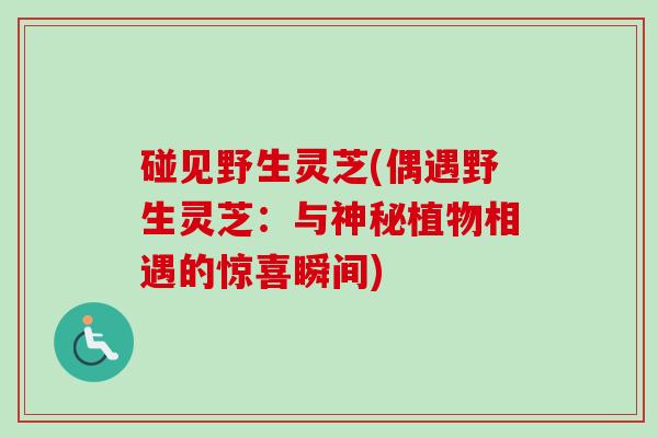 碰见野生灵芝(偶遇野生灵芝:与神秘植物相遇的惊喜瞬间)-第1张图片-卓越灵芝孢子粉 碰见野生灵芝(偶遇野生灵芝:与神秘植物相遇的惊喜瞬间)-第1张图片-卓越灵芝孢子粉