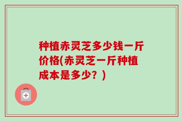 种植赤灵芝多少钱一斤价格(赤灵芝一斤种植成本是多少？)-第1张图片-卓越灵芝孢子粉