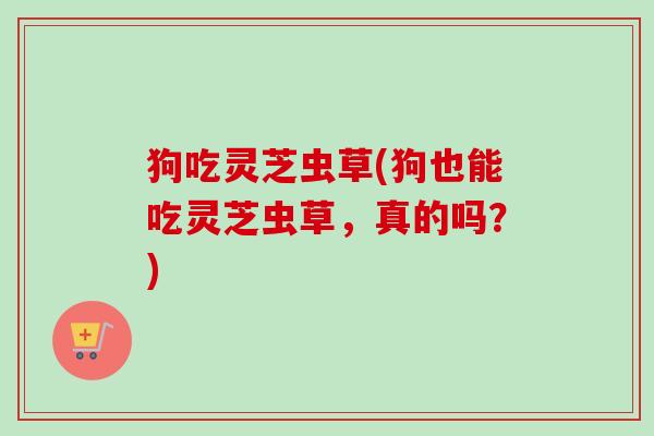 狗吃灵芝虫草(狗也能吃灵芝虫草,真的吗?)-第1张图片-卓越灵芝孢子粉 狗吃灵芝虫草(狗也能吃灵芝虫草,真的吗?)-第1张图片-卓越灵芝孢子粉