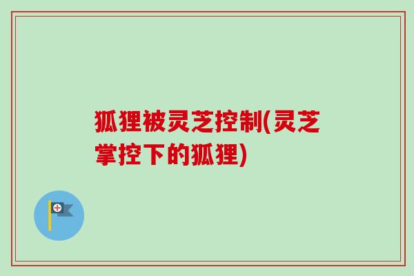 狐狸被灵芝控制(灵芝掌控下的狐狸)-第1张图片-卓越灵芝孢子粉 狐狸被灵芝控制(灵芝掌控下的狐狸)-第1张图片-卓越灵芝孢子粉
