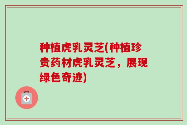 种植虎乳灵芝(种植珍贵药材虎乳灵芝,展现绿色奇迹)-第1张图片-卓越灵芝孢子粉 种植虎乳灵芝(种植珍贵药材虎乳灵芝,展现绿色奇迹)-第1张图片-卓越灵芝孢子粉